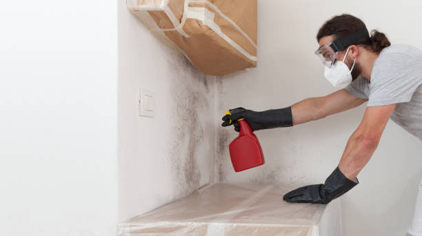 Professional Basement Mold Remediation technician working in Bennett, CO