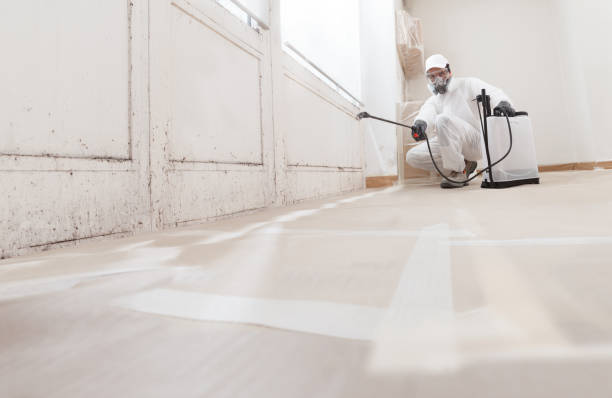 24/7 Emergency Basement Mold Remediation experts in Bennett, CO